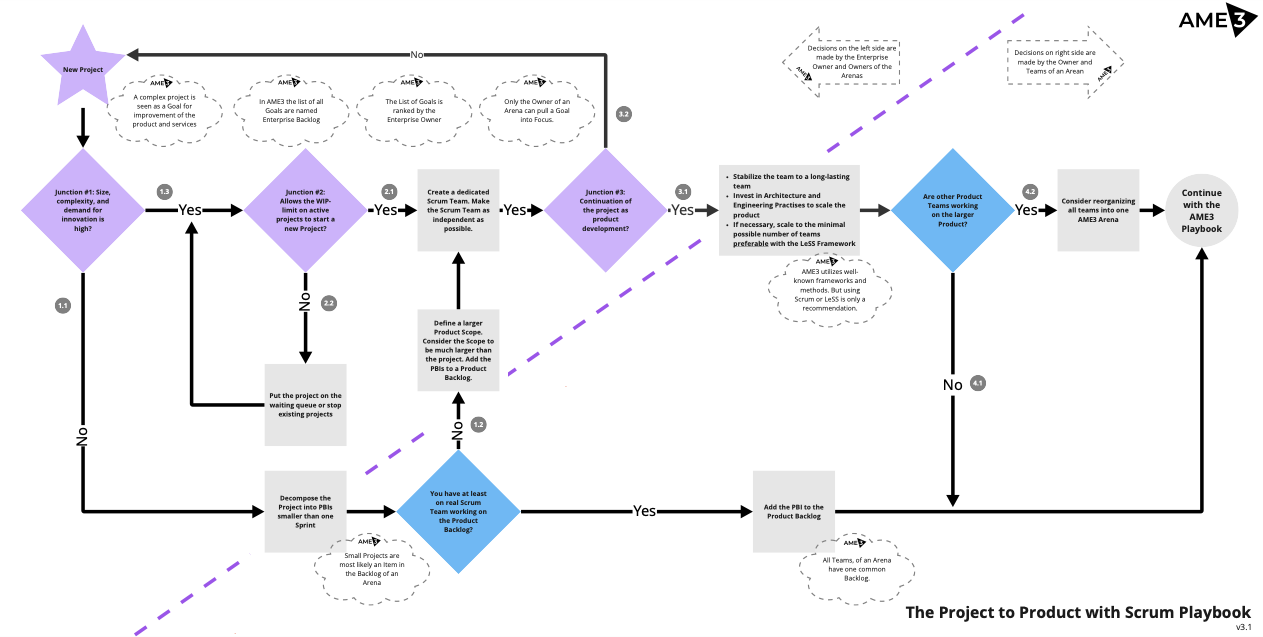 The Project to Product with Scrum Playbook.png